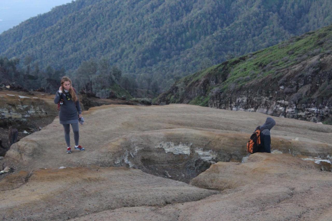 Backpacker Kawah Ijen Hostel Banyuwangi  Exterior photo